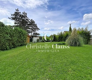 Terrain - BALDENHEIM - 300m²