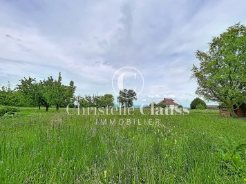 Terrain - FOLGENSBOURG - 585m²