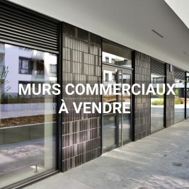 Local professionnel - BRUMATH - 48m²