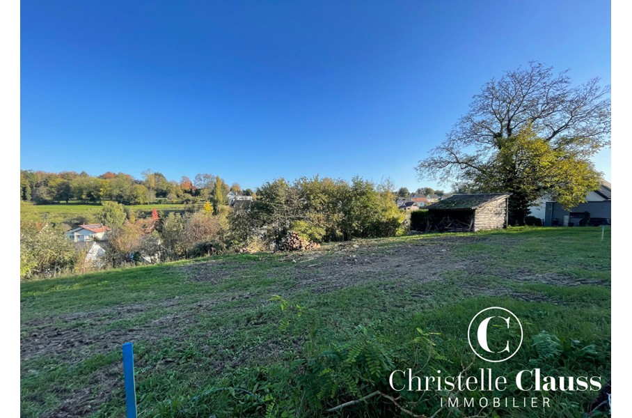 Terrain - buschwiller - 556m² · 222 400 €
