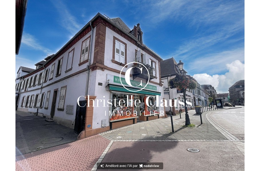 Immeuble 4 pièces 91 m² · à Haguenau · 91 m² · 940 000 €