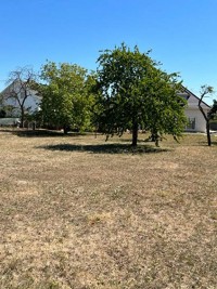 Terrain - MUNCHHOUSE - 949m²