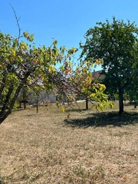 Terrain - MUNCHHOUSE - 949m²