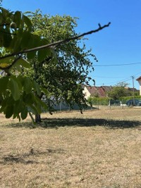 Terrain - MUNCHHOUSE - 949m²