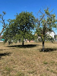 Terrain - MUNCHHOUSE - 949m²
