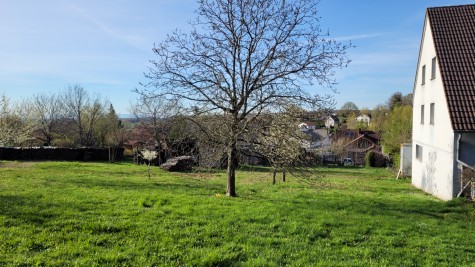 Terrain - LEIMBACH - 780m²